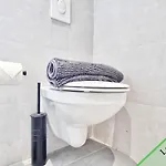 Les Mulhousiennes - Charme & Serenite Apartment Mulhouse