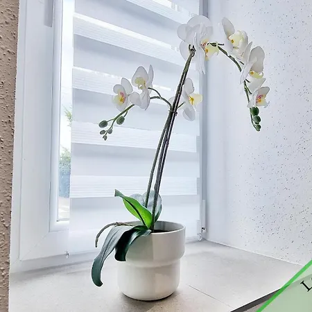 Les Mulhousiennes - Charme & Serenite * Mulhouse