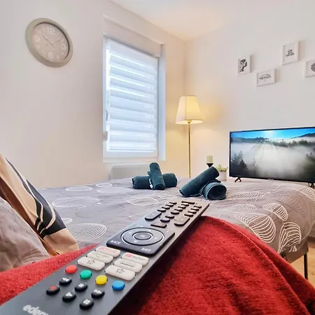 Appartement Les Mulhousiennes - Charme & Serenite *