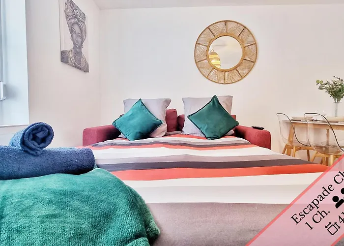 Les Mulhousiennes - Charme & Serenite Appartement