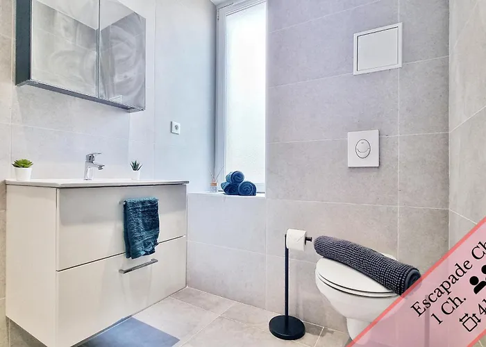 Les Mulhousiennes - Charme & Serenite Appartement Mulhouse