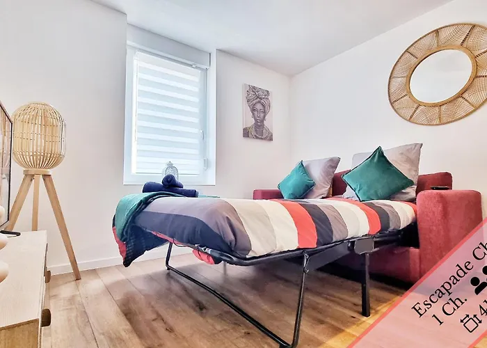 Les Mulhousiennes - Charme & Serenite Appartement *