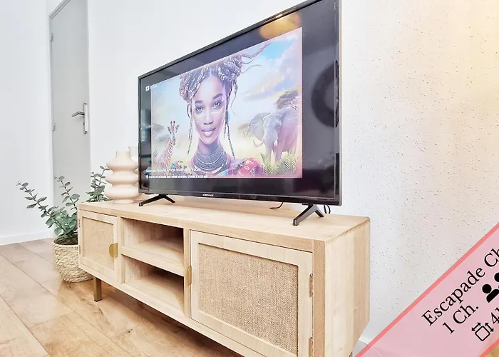 Appartement Les Mulhousiennes - Charme & Serenite *