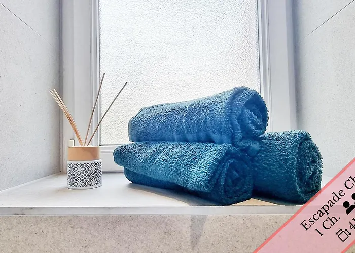 Les Mulhousiennes - Charme & Serenite Appartement