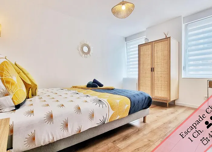Les Mulhousiennes - Charme & Serenite Appartement *