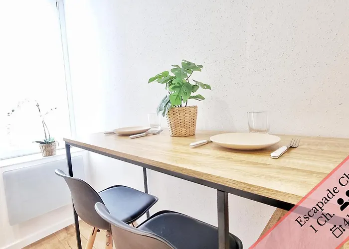 Les Mulhousiennes - Charme & Serenite Appartement