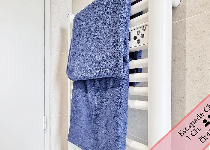 Appartement Les Mulhousiennes - Charme & Serenite Mulhouse
