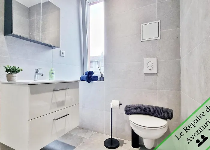Appartement Les Mulhousiennes - Charme & Serenite Mulhouse