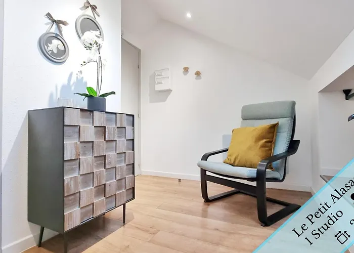 Appartement Les Mulhousiennes - Charme & Serenite Mulhouse