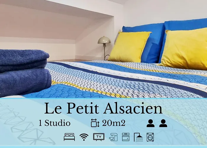 Appartement Les Mulhousiennes - Charme & Serenite Mulhouse