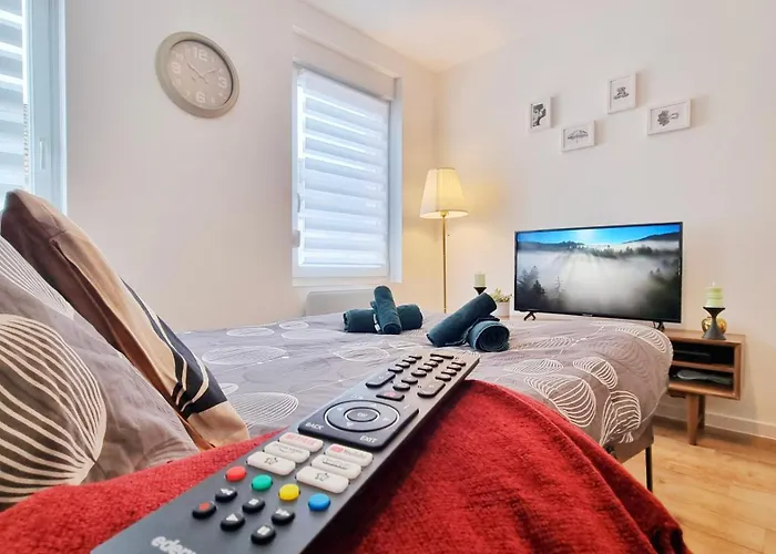 Appartement Les Mulhousiennes - Charme & Serenite *